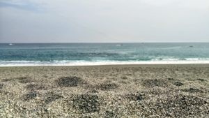 桂浜の海